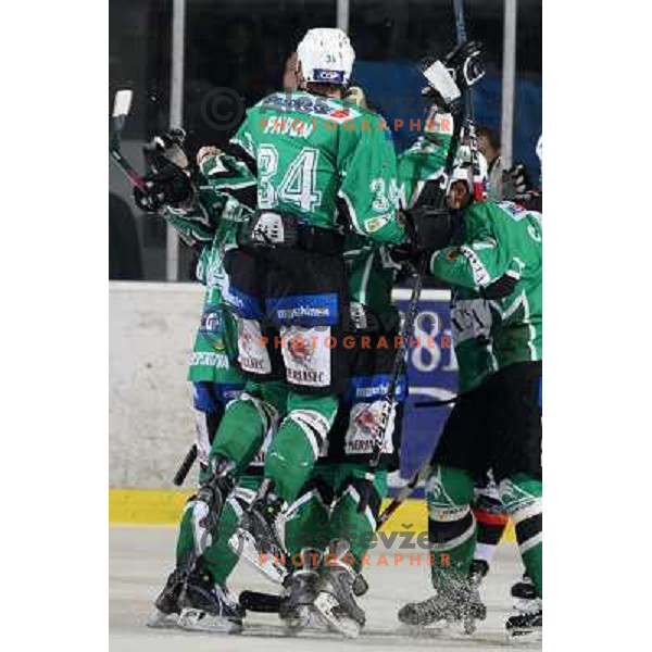 Tomaz Pavlin celebrates goal at ice-hockey match Tilia Olimpija- Acroni Jesenice in round 23 of EBEL league, played in Ljubljana, Slovenia 21.11.2008. Tilia Olimpija won 4:3 