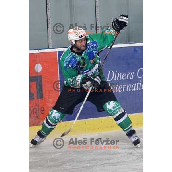 Tomaz Vnuk at ice-hockey match Tilia Olimpija- Acroni Jesenice in round 23 of EBEL league, played in Ljubljana, Slovenia 21.11.2008. Tilia Olimpija won 4:3 
