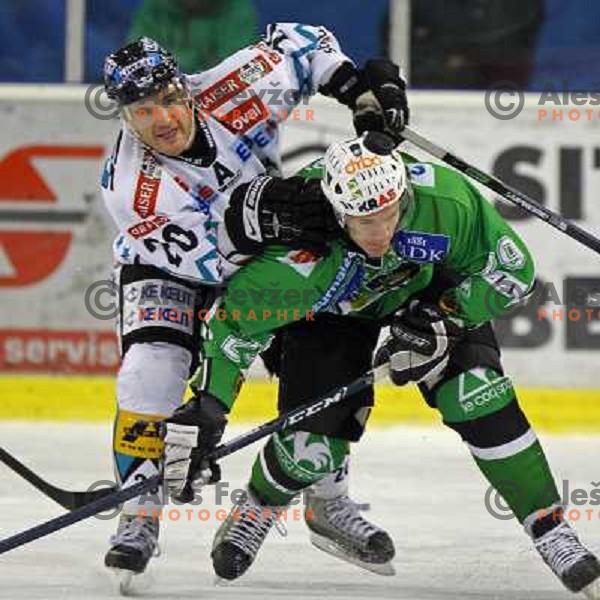 Purdie and Ropret at ice-hockey match Tilia Olimpija-Linz Liwest in round 24 of EBEL league, played in Hala Tivoli, Ljubljana, Slovenia 23.11.2008 