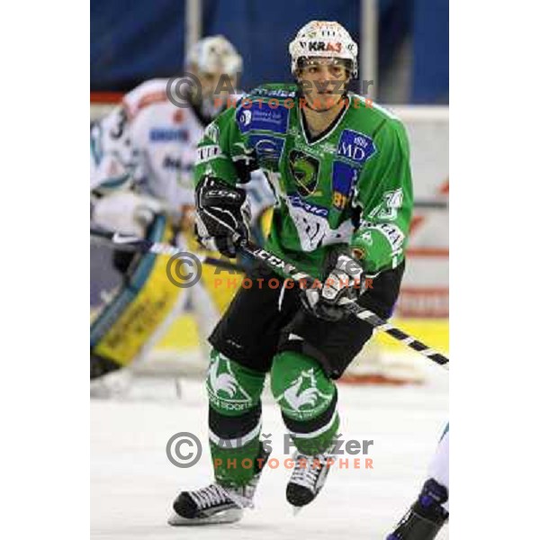 Ziga Pance at ice-hockey match Tilia Olimpija-Linz Liwest in round 24 of EBEL league, played in Hala Tivoli, Ljubljana, Slovenia 23.11.2008 