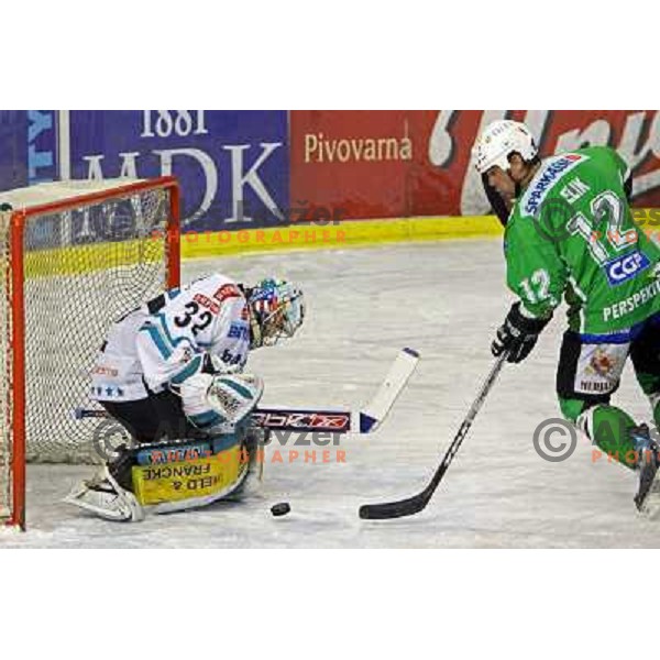 Westlund and Elik at ice-hockey match Tilia Olimpija-Linz Liwest in round 24 of EBEL league, played in Hala Tivoli, Ljubljana, Slovenia 23.11.2008 