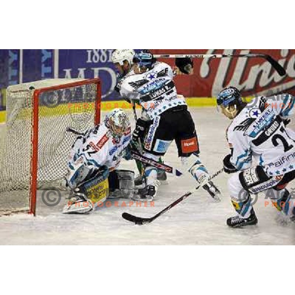 Westlund, Elik, Lukas, Gruber at ice-hockey match Tilia Olimpija-Linz Liwest in round 24 of EBEL league, played in Hala Tivoli, Ljubljana, Slovenia 23.11.2008 