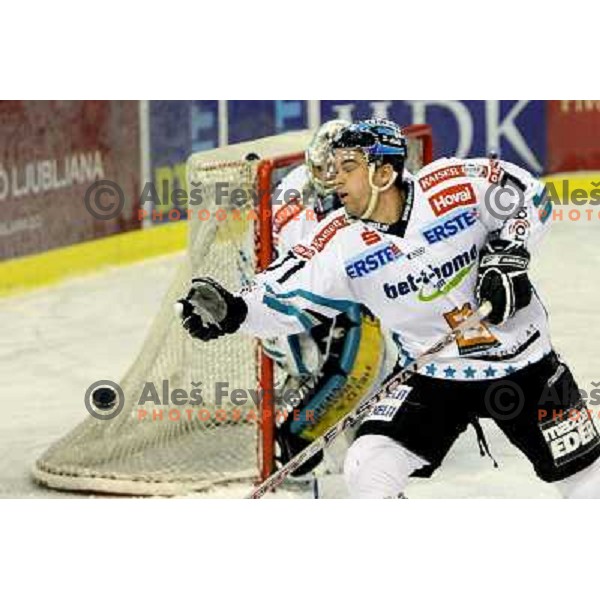 Leahy at ice-hockey match Tilia Olimpija-Linz Liwest in round 24 of EBEL league, played in Hala Tivoli, Ljubljana, Slovenia 23.11.2008 