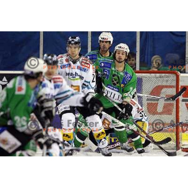 Elik, Yarema at ice-hockey match Tilia Olimpija-Linz Liwest in round 24 of EBEL league, played in Hala Tivoli, Ljubljana, Slovenia 23.11.2008 