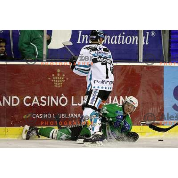 Petrilainen at ice-hockey match Tilia Olimpija-Linz Liwest in round 24 of EBEL league, played in Hala Tivoli, Ljubljana, Slovenia 23.11.2008 