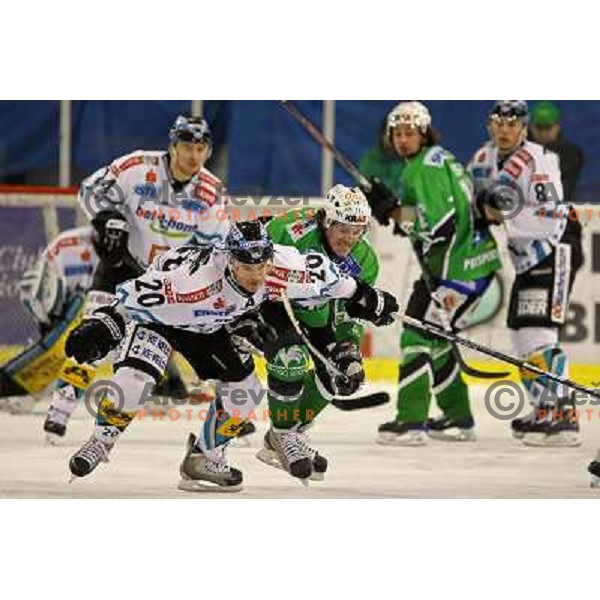 Purdie (20) and Ropret at ice-hockey match Tilia Olimpija-Linz Liwest in round 24 of EBEL league, played in Hala Tivoli, Ljubljana, Slovenia 23.11.2008 