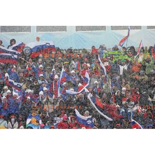 during Giant Slalom women at winter Olympic Games, Torino , Italy on February 24, 2006