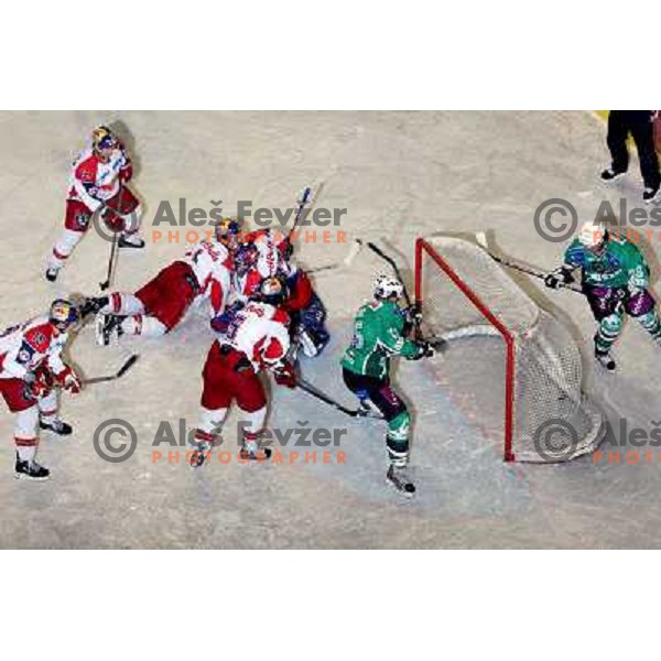 Muric scores first goal 28.11.2008 