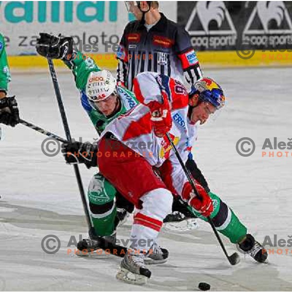 Music at ice-hockey match Tilia Olimpija-Red Bull Salzburg in round 26 of EBEL league, played in Hala Tivoli, Ljubljana, Slovenia 28.11.2008 