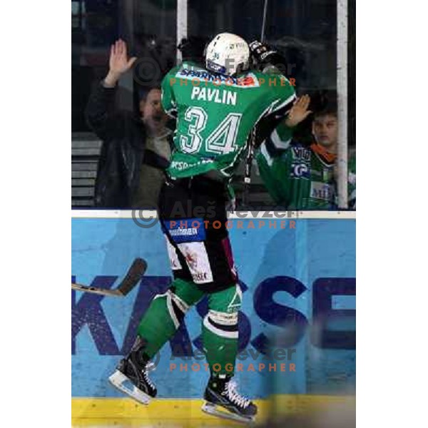 Pavlin celebrates goal at ice-hockey match Tilia Olimpija-Red Bull Salzburg in round 26 of EBEL league, played in Hala Tivoli, Ljubljana, Slovenia 28.11.2008 