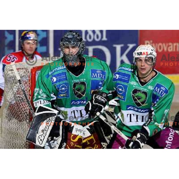 Korhonen (75) and Golicic at ice-hockey match Tilia Olimpija-Red Bull Salzburg in round 26 of EBEL league, played in Hala Tivoli, Ljubljana, Slovenia 28.11.2008 