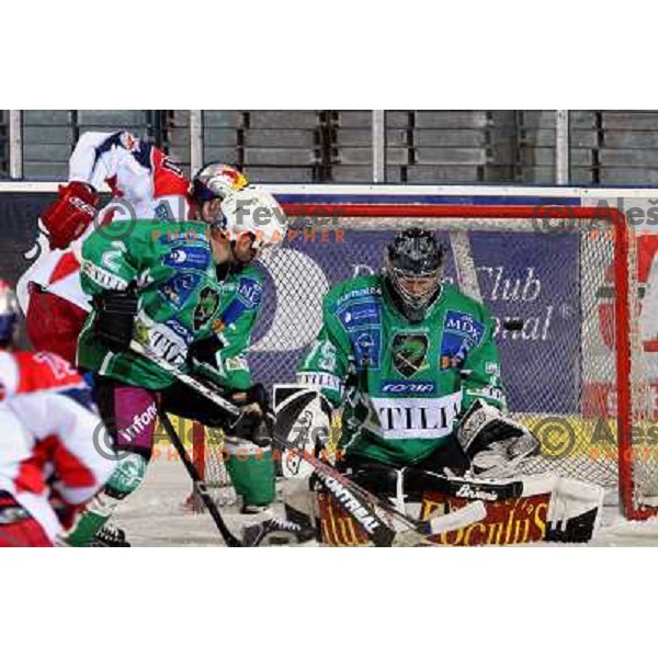 Mitchell and Korhonen at ice-hockey match Tilia Olimpija-Red Bull Salzburg in round 26 of EBEL league, played in Hala Tivoli, Ljubljana, Slovenia 28.11.2008 