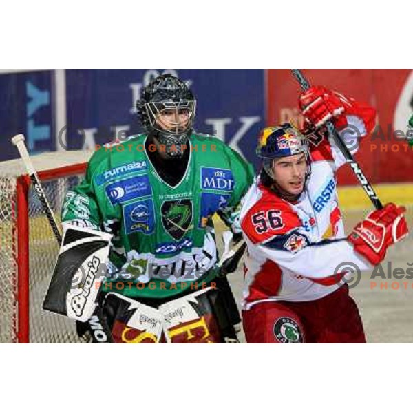 Markus Korhonen (75) and Ryan Thomas McDonough at ice-hockey match Tilia Olimpija-Red Bull Salzburg in round 26 of EBEL league, played in Hala Tivoli, Ljubljana, Slovenia 28.11.2008 