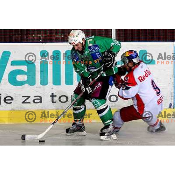 Tomaz Vnuk at ice-hockey match Tilia Olimpija-Red Bull Salzburg in round 26 of EBEL league, played in Hala Tivoli, Ljubljana, Slovenia 28.11.2008 