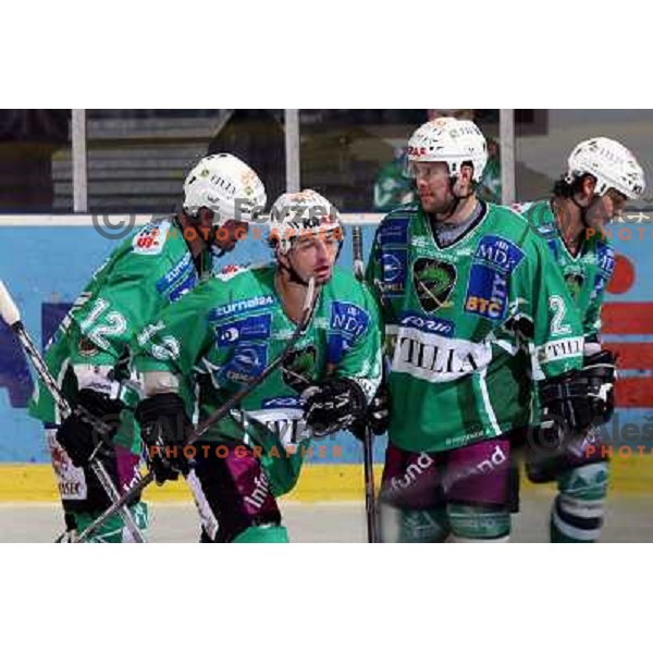 Elik, Yarema, Mitchell, Banham at ice-hockey match Tilia Olimpija-Red Bull Salzburg in round 26 of EBEL league, played in Hala Tivoli, Ljubljana, Slovenia 28.11.2008 