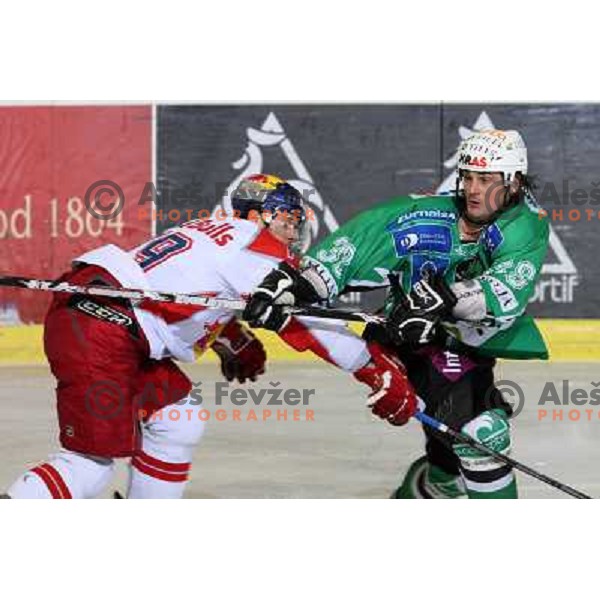 Banham scores goal at ice hockey game Tilia Olimpija- Red Bull Salzburg in round 26 of EBEL league, played in Hala Tivoli, Ljubljana 28.11.2008. Tilia Olimpija won 6:4 