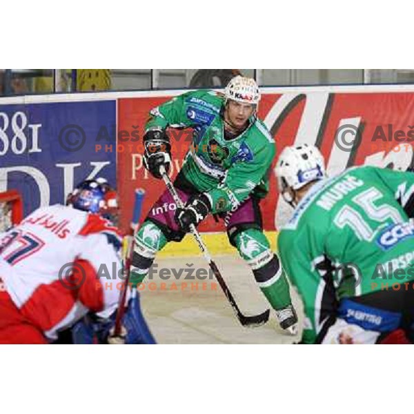Jurij Golicic at ice hockey game Tilia Olimpija- Red Bull Salzburg in round 26 of EBEL league, played in Hala Tivoli, Ljubljana 28.11.2008. Tilia Olimpija won 6:4 