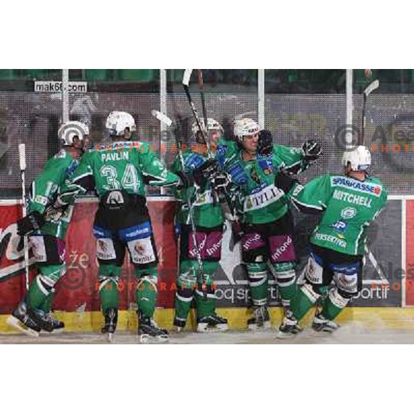 Elik, Pavlin, Yarema, Banham ,Mitchell at ice hockey game Tilia Olimpija- Red Bull Salzburg in round 26 of EBEL league, played in Hala Tivoli, Ljubljana 28.11.2008. Tilia Olimpija won 6:4 