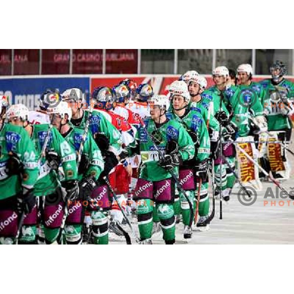 Music at ice hockey game Tilia Olimpija- Red Bull Salzburg in round 26 of EBEL league, played in Hala Tivoli, Ljubljana 28.11.2008. Tilia Olimpija won 6:4 