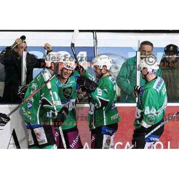 Elik, Banham ,Mitchell, Tavzelj at ice hockey game Tilia Olimpija- Red Bull Salzburg in round 26 of EBEL league, played in Hala Tivoli, Ljubljana 28.11.2008. Tilia Olimpija won 6:4 