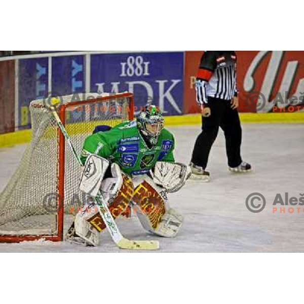 Ales Sila at ice-hockey match Tilia Olimpija- Vienna Capitals in round 28 of EBEl league, played in Hala Tivoli, Ljubljana 2.12.2008 