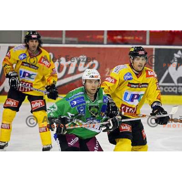 Kuznik at ice-hockey match Tilia Olimpija- Vienna Capitals in round 28 of EBEl league, played in Hala Tivoli, Ljubljana 2.12.2008 