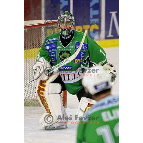 Ales Sila at ice-hockey match Tilia Olimpija- Vienna Capitals in round 28 of EBEl league, played in Hala Tivoli, Ljubljana 2.12.2008 