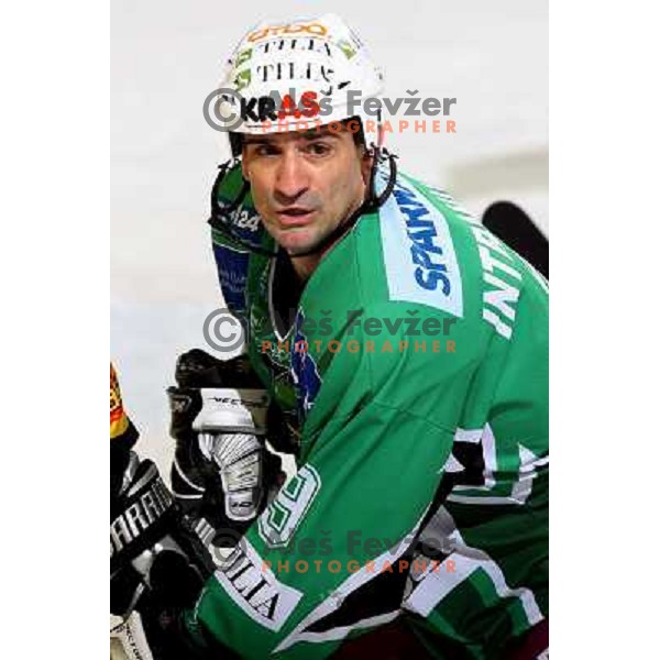 at ice-hockey match Tilia Olimpija- Vienna Capitals in round 28 of EBEl league, played in Hala Tivoli, Ljubljana 2.12.2008. Vienna Capitals won 3:2 