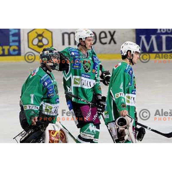 at ice-hockey match Tilia Olimpija- Vienna Capitals in round 28 of EBEl league, played in Hala Tivoli, Ljubljana 2.12.2008. Vienna Capitals won 3:2 
