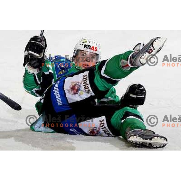 at ice-hockey match Tilia Olimpija- Vienna Capitals in round 28 of EBEl league, played in Hala Tivoli, Ljubljana 2.12.2008. Vienna Capitals won 3:2 