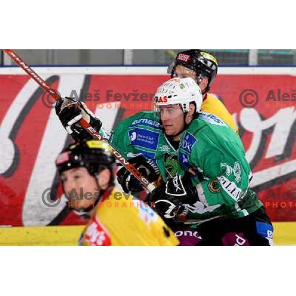 at ice-hockey match Tilia Olimpija- Vienna Capitals in round 28 of EBEl league, played in Hala Tivoli, Ljubljana 2.12.2008. Vienna Capitals won 3:2 