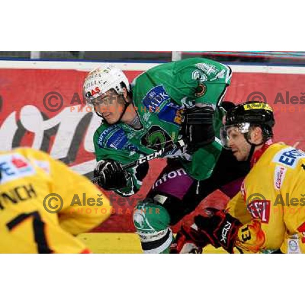 at ice-hockey match Tilia Olimpija- Vienna Capitals in round 28 of EBEl league, played in Hala Tivoli, Ljubljana 2.12.2008. Vienna Capitals won 3:2 