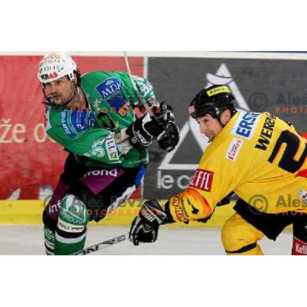 at ice-hockey match Tilia Olimpija- Vienna Capitals in round 28 of EBEl league, played in Hala Tivoli, Ljubljana 2.12.2008. Vienna Capitals won 3:2 