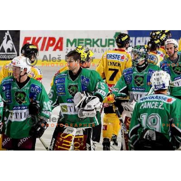 at ice-hockey match Tilia Olimpija- Vienna Capitals in round 28 of EBEl league, played in Hala Tivoli, Ljubljana 2.12.2008. Vienna Capitals won 3:2 