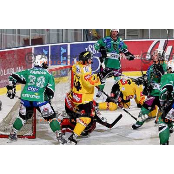 at ice-hockey match Tilia Olimpija- Vienna Capitals in round 28 of EBEl league, played in Hala Tivoli, Ljubljana 2.12.2008. Vienna Capitals won 3:2 