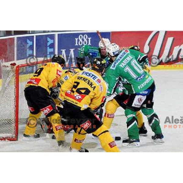 at ice-hockey match Tilia Olimpija- Vienna Capitals in round 28 of EBEl league, played in Hala Tivoli, Ljubljana 2.12.2008. Vienna Capitals won 3:2 