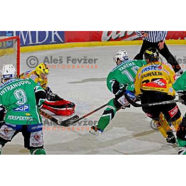 at ice-hockey match Tilia Olimpija- Vienna Capitals in round 28 of EBEl league, played in Hala Tivoli, Ljubljana 2.12.2008. Vienna Capitals won 3:2 