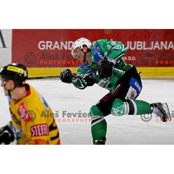 at ice-hockey match Tilia Olimpija- Vienna Capitals in round 28 of EBEl league, played in Hala Tivoli, Ljubljana 2.12.2008. Vienna Capitals won 3:2 