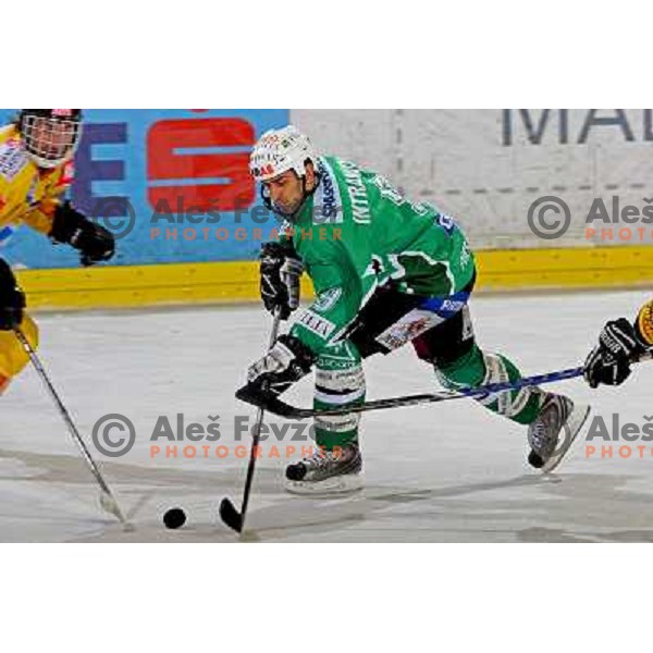at ice-hockey match Tilia Olimpija- Vienna Capitals in round 28 of EBEl league, played in Hala Tivoli, Ljubljana 2.12.2008. Vienna Capitals won 3:2 