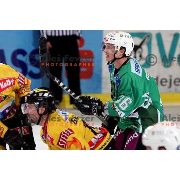 at ice-hockey match Tilia Olimpija- Vienna Capitals in round 28 of EBEl league, played in Hala Tivoli, Ljubljana 2.12.2008. Vienna Capitals won 3:2 