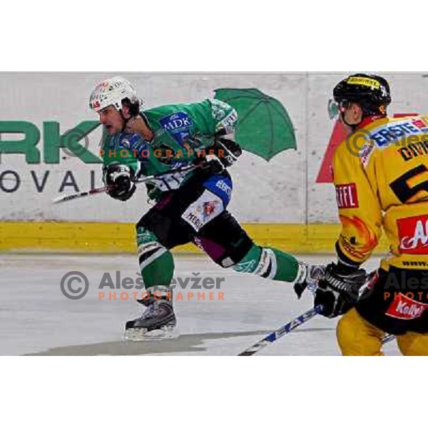 at ice-hockey match Tilia Olimpija- Vienna Capitals in round 28 of EBEl league, played in Hala Tivoli, Ljubljana 2.12.2008. Vienna Capitals won 3:2 