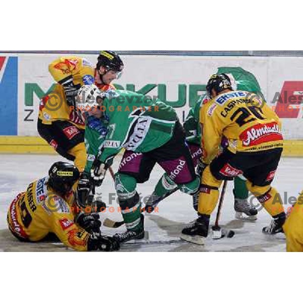 at ice-hockey match Tilia Olimpija- Vienna Capitals in round 28 of EBEl league, played in Hala Tivoli, Ljubljana 2.12.2008. Vienna Capitals won 3:2 