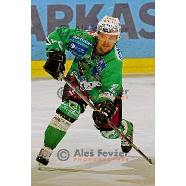 at ice-hockey match Tilia Olimpija- Vienna Capitals in round 28 of EBEl league, played in Hala Tivoli, Ljubljana 2.12.2008. Vienna Capitals won 3:2 