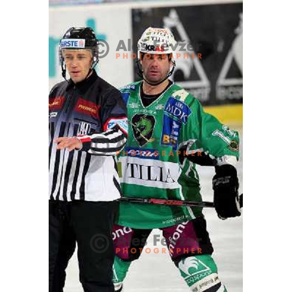 Referee Lesnjak and Todd Elik at ice hockey match Tilia Olimpija-VSV in EBEL league, played in Hala Tivoli, Ljubljana 5.12.2008 