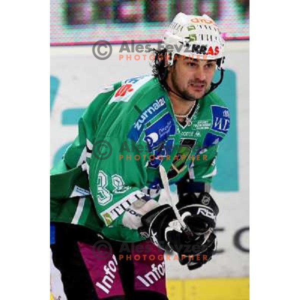 Frank Banham at ice hockey match Tilia Olimpija-VSV in EBEL league, played in Hala Tivoli, Ljubljana 5.12.2008 