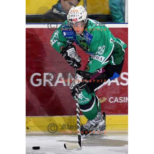 Ziga Pance at ice hockey match Tilia Olimpija-VSV in EBEL league, played in Hala Tivoli, Ljubljana 5.12.2008 
