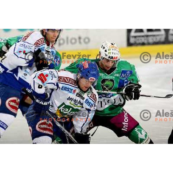 Kaspitz (8) and Jurij Golicic at ice hockey match Tilia Olimpija-VSV in EBEL league, played in Hala Tivoli, Ljubljana 5.12.2008 