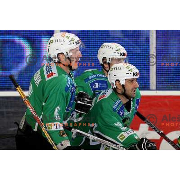 Groznik ,Music and intranuovo at ice hockey match Tilia Olimpija-VSV in EBEL league, played in Hala Tivoli, Ljubljana 5.12.2008 