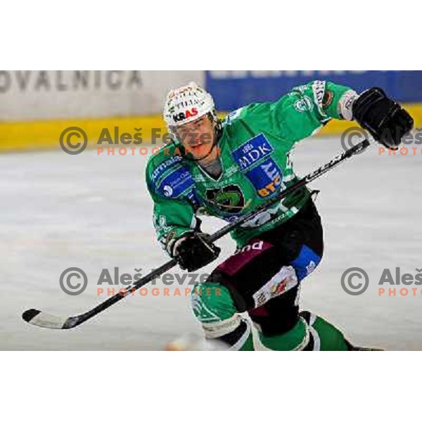 Ziga Pavlin at ice hockey match Tilia Olimpija-VSV in EBEL league, played in Hala Tivoli, Ljubljana 5.12.2008 