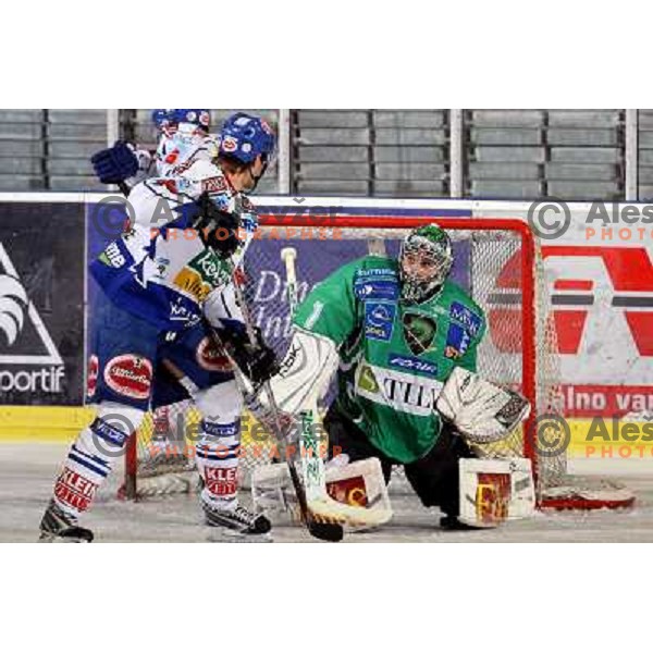 Ales Sila at ice hockey match Tilia Olimpija-VSV in EBEL league, played in Hala Tivoli, Ljubljana 5.12.2008 